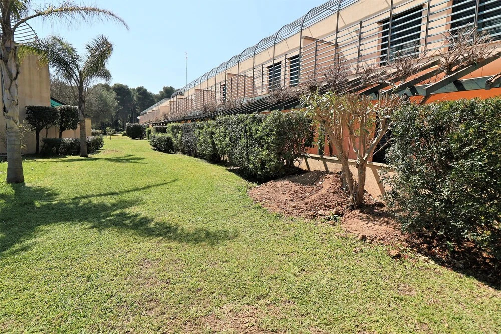 Serra Alimini 2