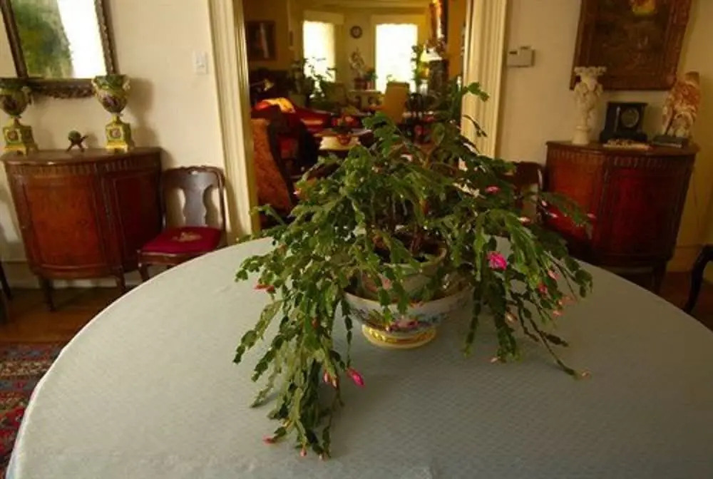 Burbridge St. B&B