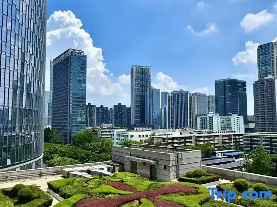 Chengdu DreamLand Hotel-Chunxi Road Taikoo Li