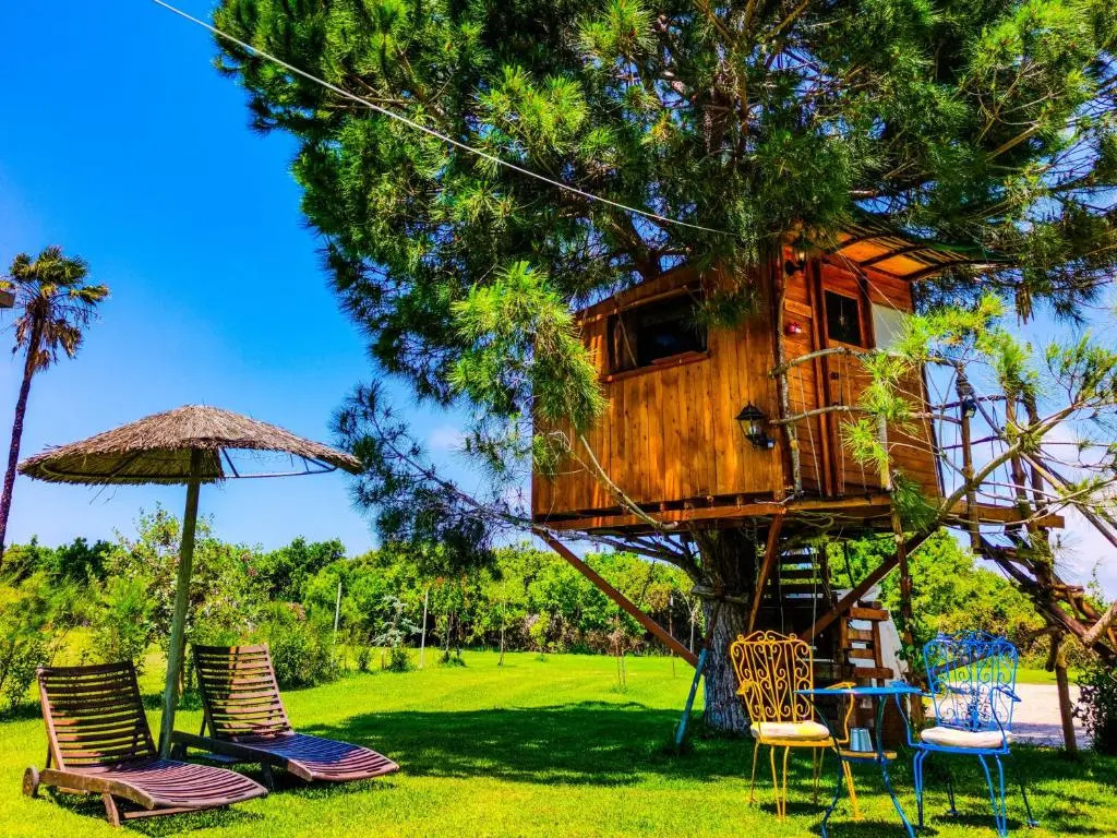 Ionian Treehouse Ecohosting Cuckoo's nest