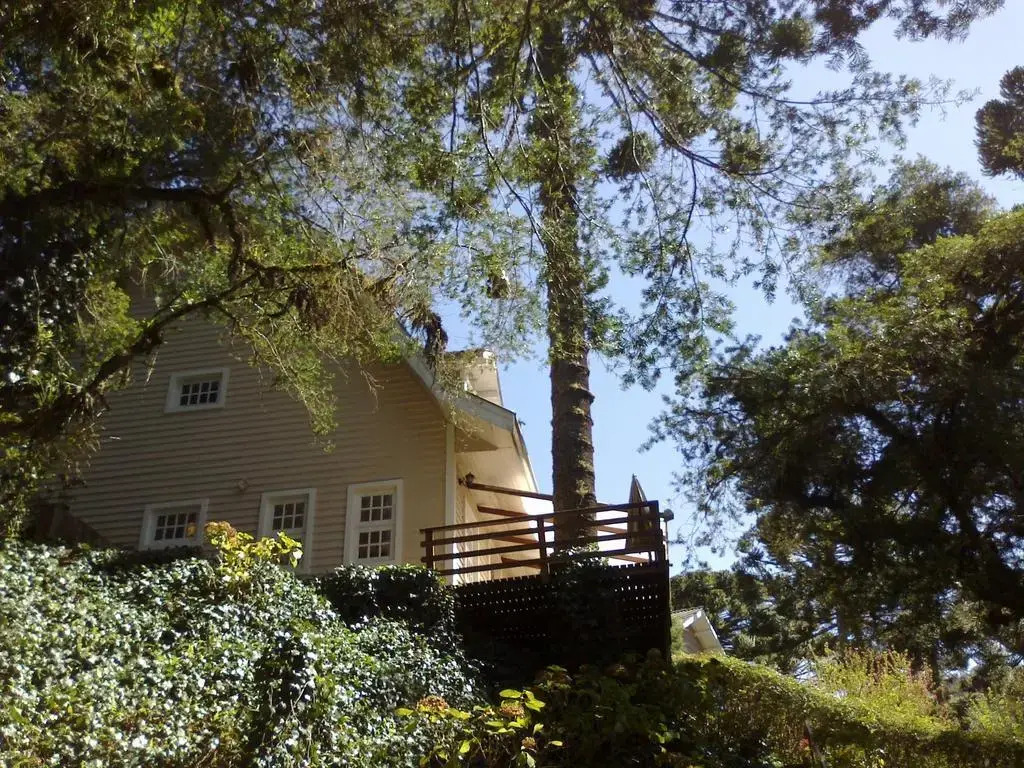 Forest Pine Inn