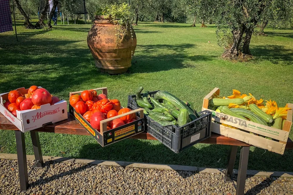 Renovated Farmhouse Near Florence
