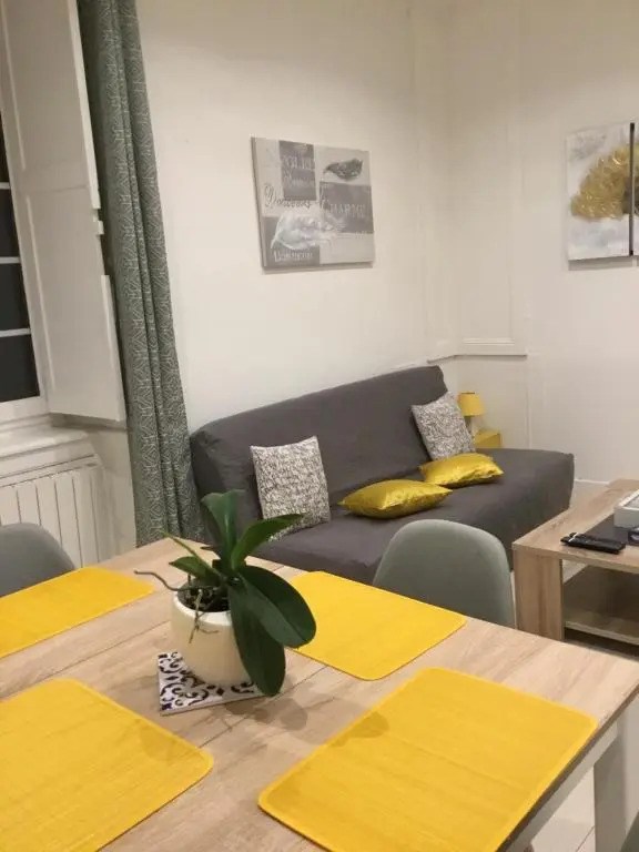 Charmant appartement T2 plein centre ville