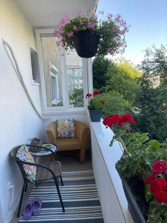A3M Apartment