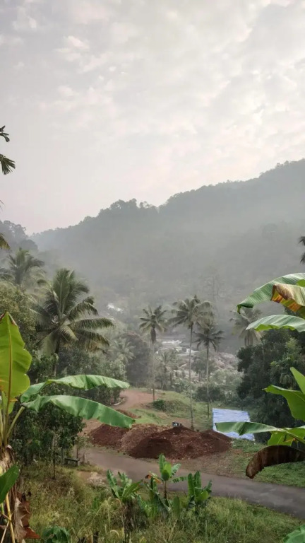 Thoppil Homestay Munnar