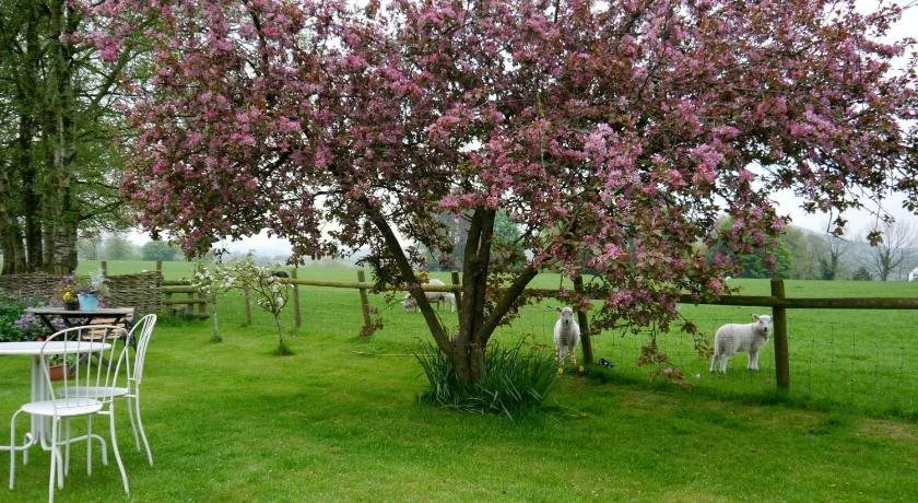 Yew Tree Farm