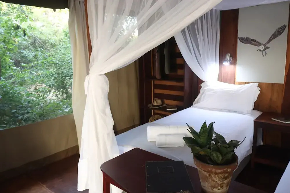 Camp Sabali & Safaris