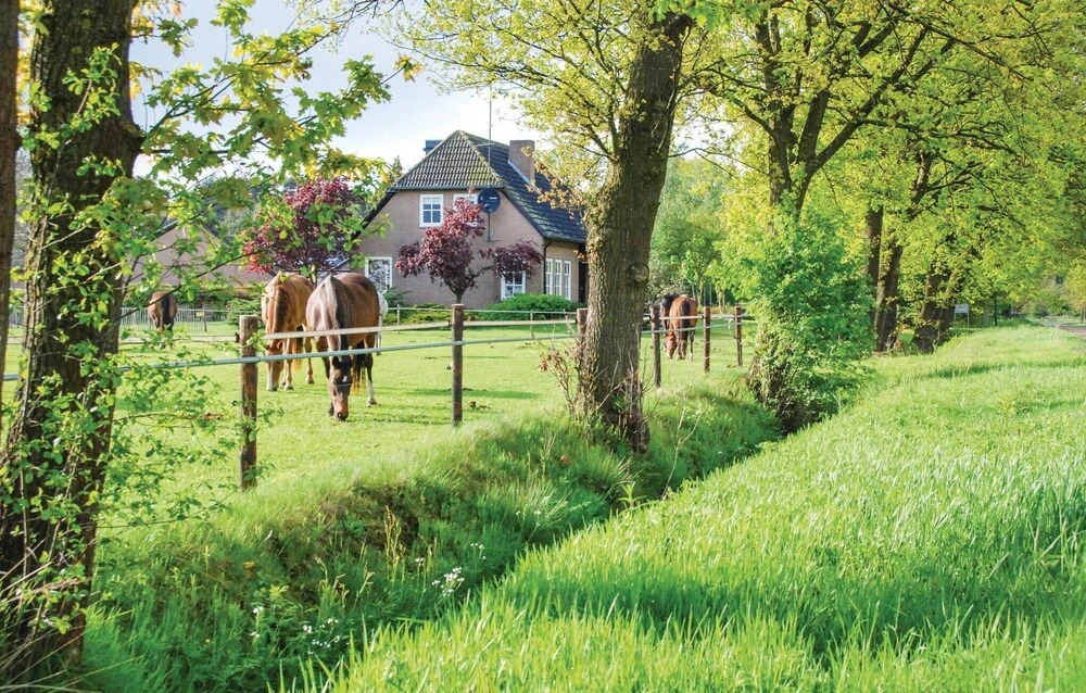 De Plek
