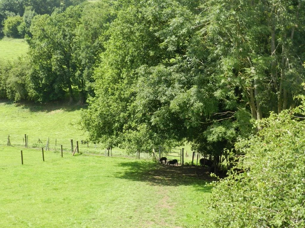 Xhawirs Horse Farm