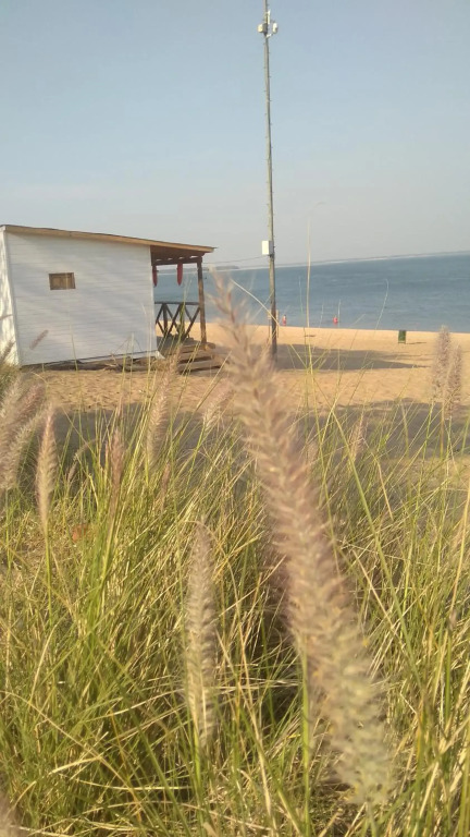 Volver a Casa