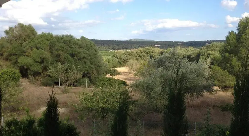 Ses Cases De Son Guillot