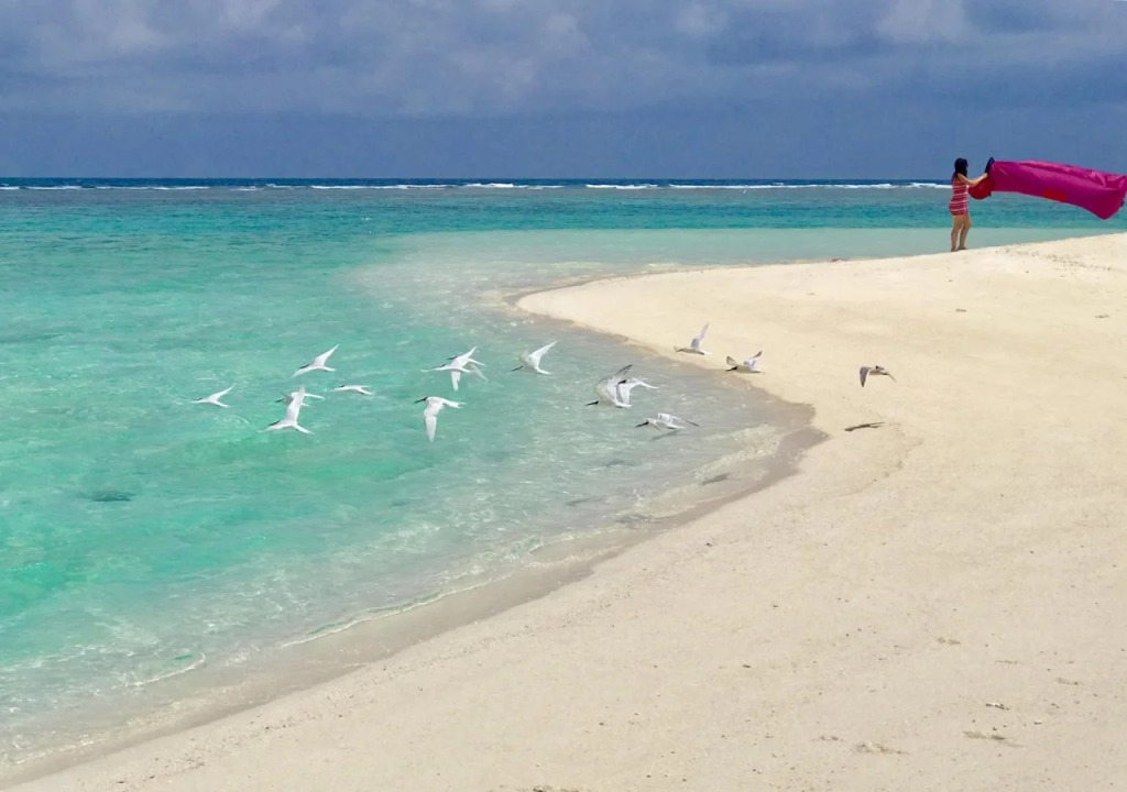Beach Veli