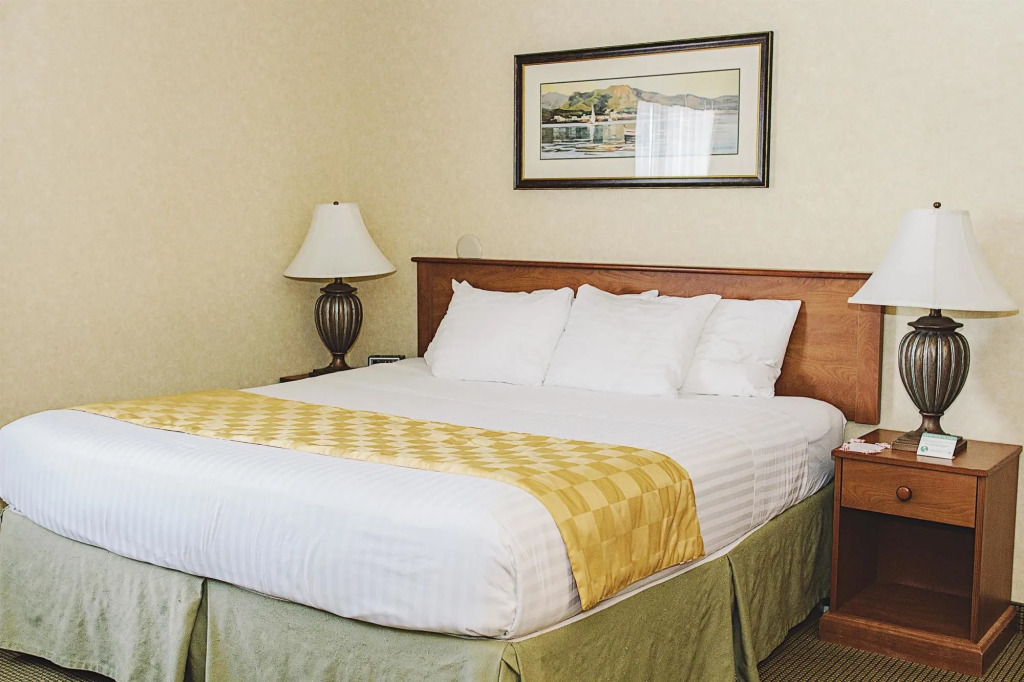 Lavissh Inn and Suites