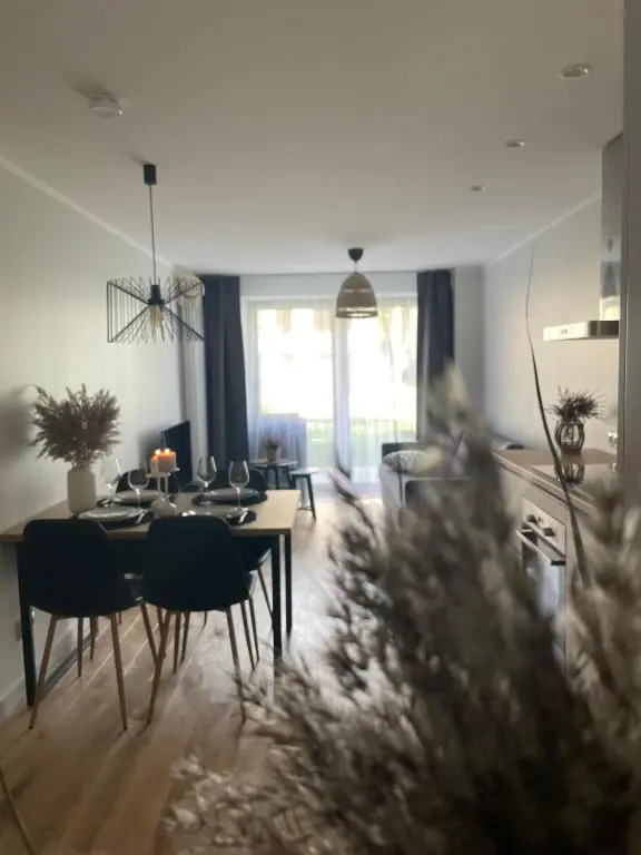 Divas Laivas apartments with a terrace
