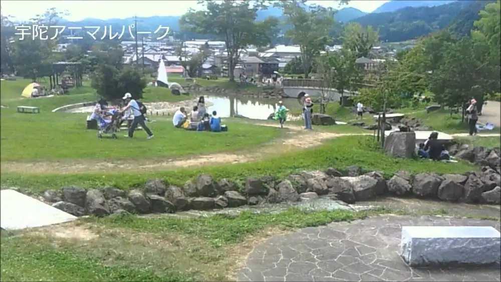 The EXP Yachiyo