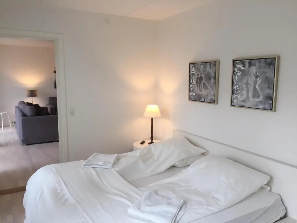 CITY, LUX APARTM - 2 FULL BATHROOMs, 1v