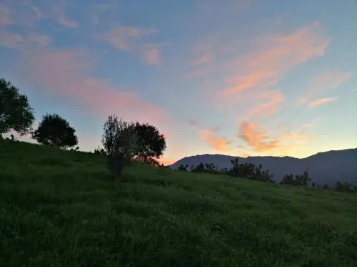 Wildhaven Farmstay