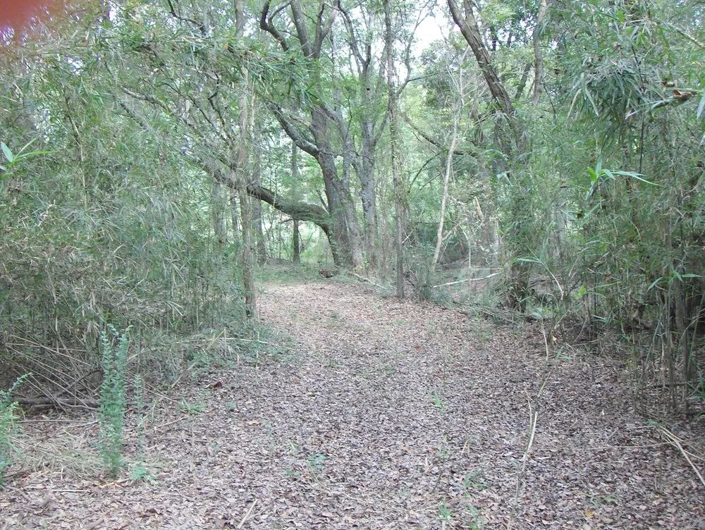 Mill Creek Ranch Resort