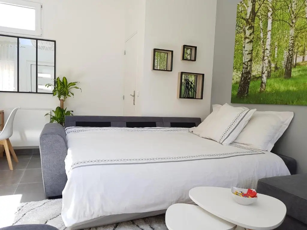 Super Studio cosy proche de CDG
