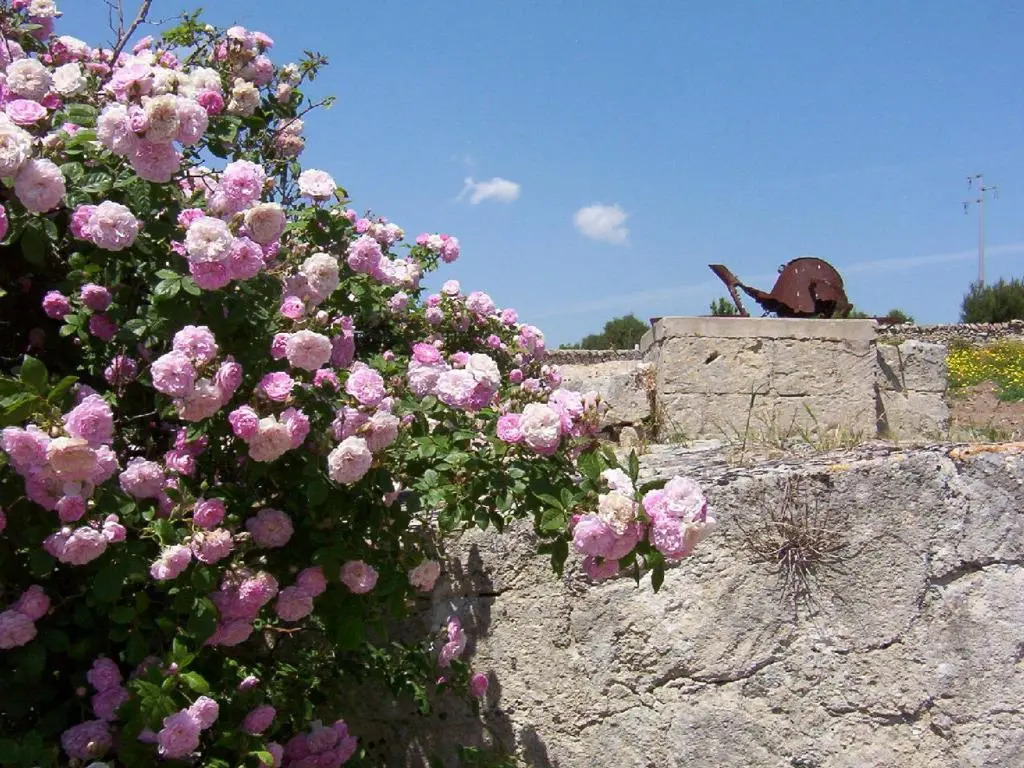 Masseria La Gravina