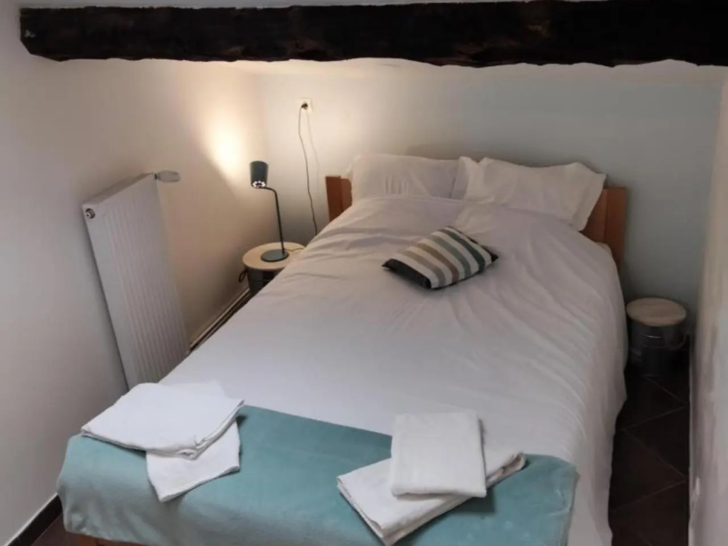 Gîte 3 chambres avec hammam, sauna et jacuzzi à Cellieu - FR-1-496-8