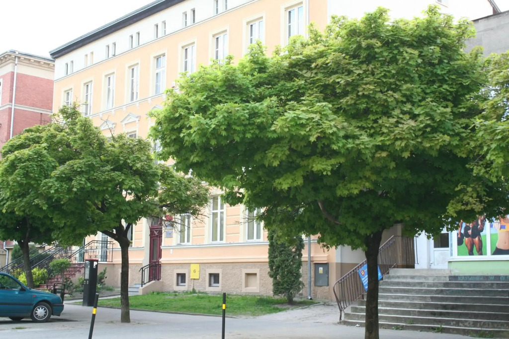 Apartament