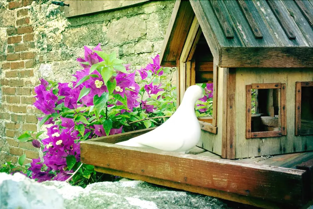 Florina House