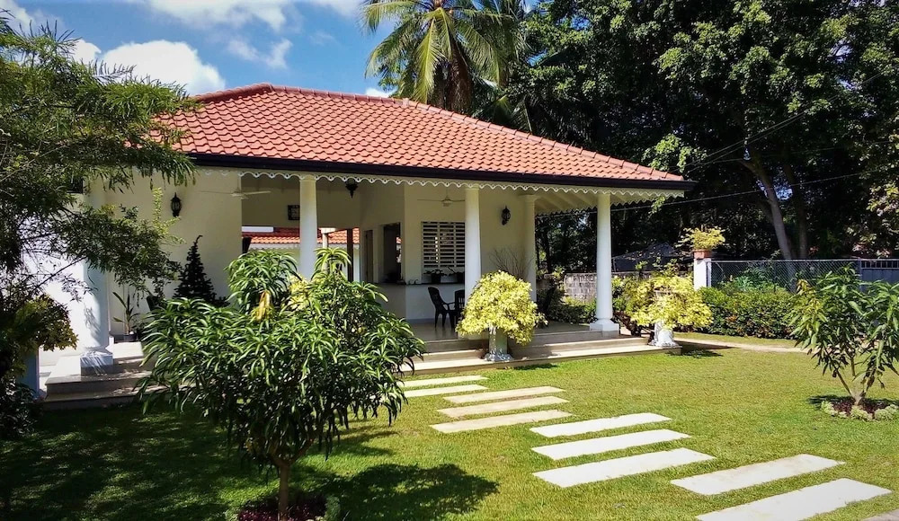 Green Grass Garden