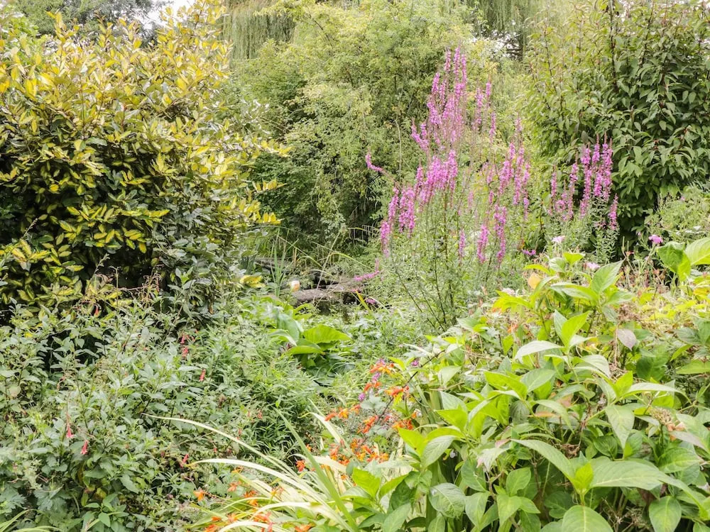 The Garden Cottage