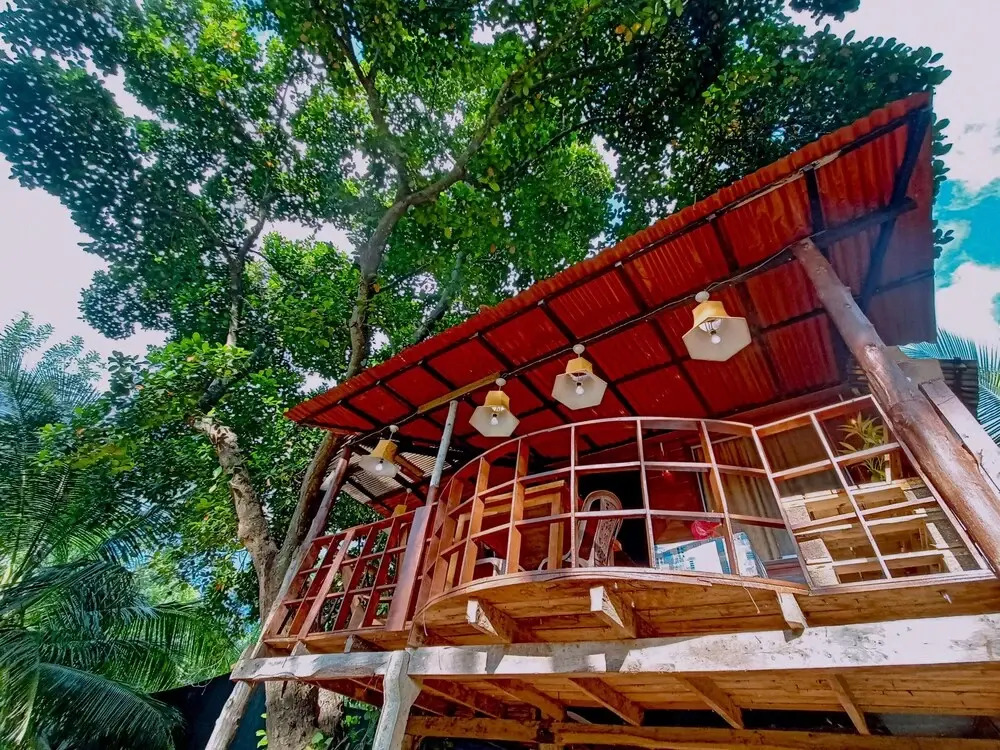 Lake View Tree House