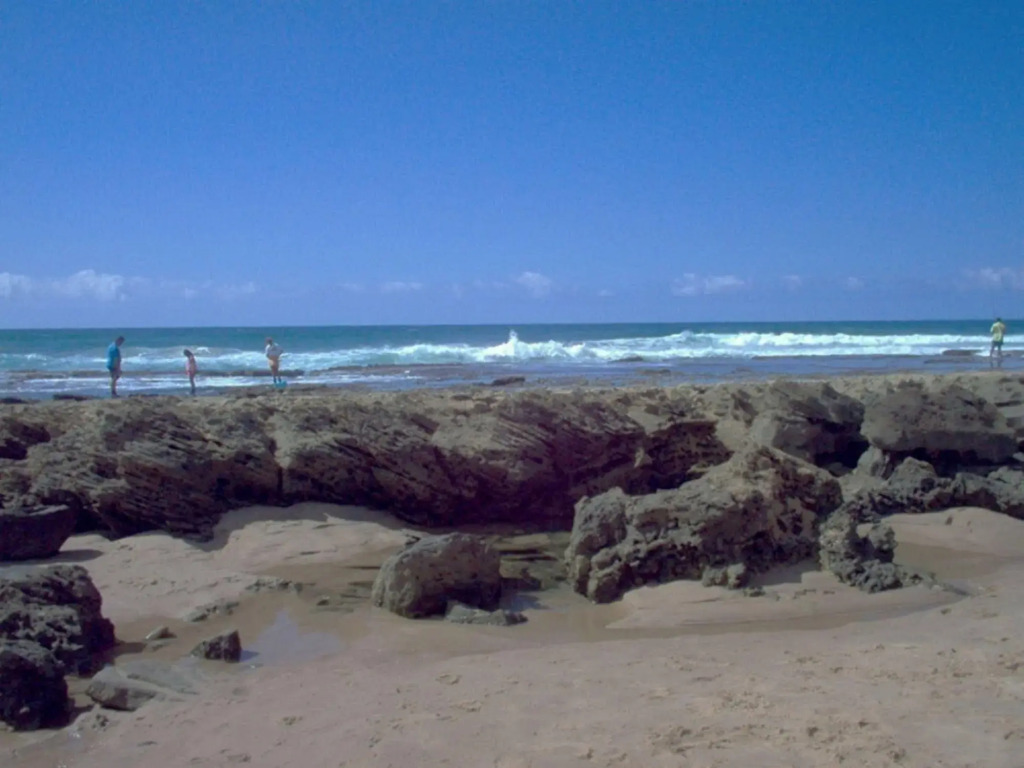 St Lucia Wilds