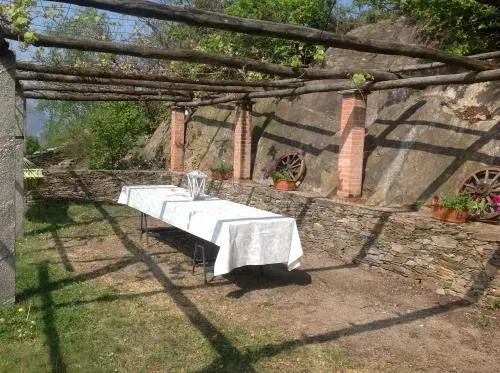 Il Ciliegio Selvatico