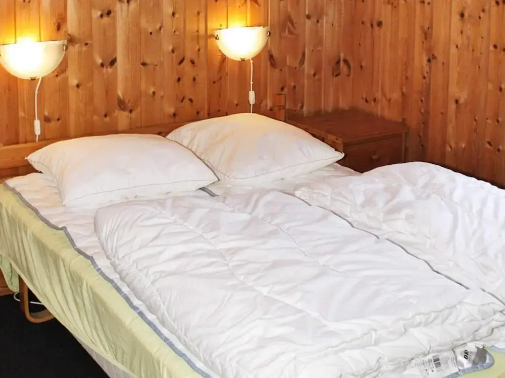 4 Star Holiday Home in Thisted