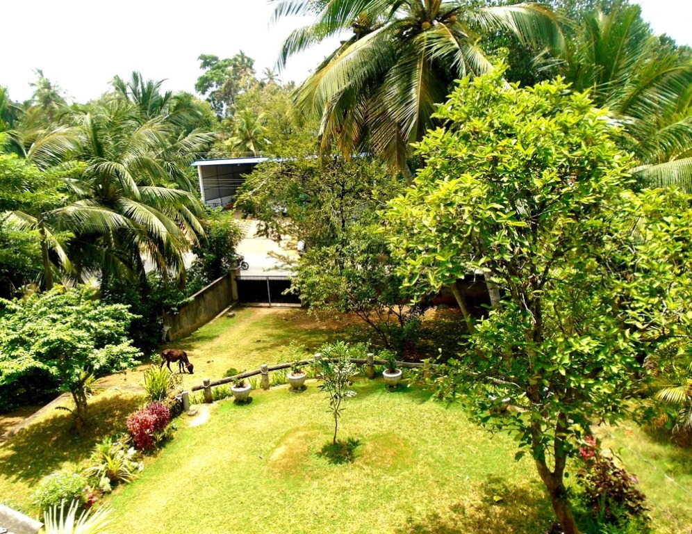 Bee Line Home Stay