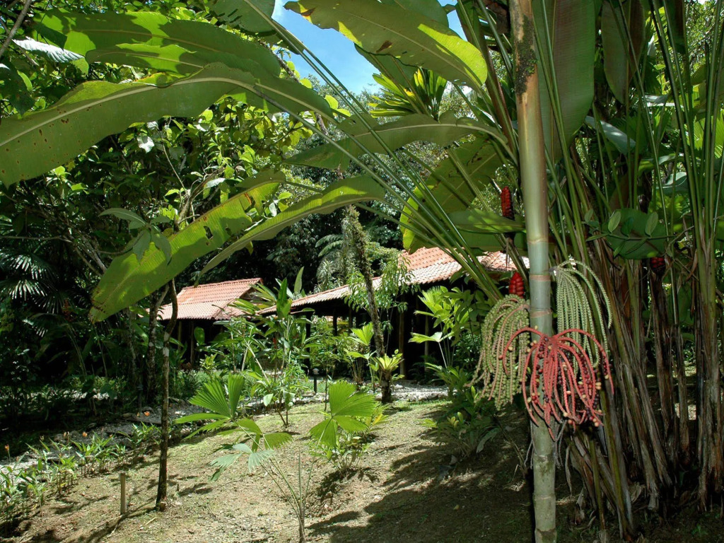 Hotel La Gamba Rainforest Lodge