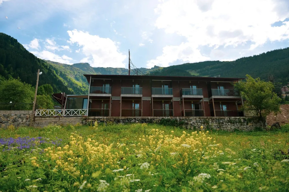 Monoir Suite