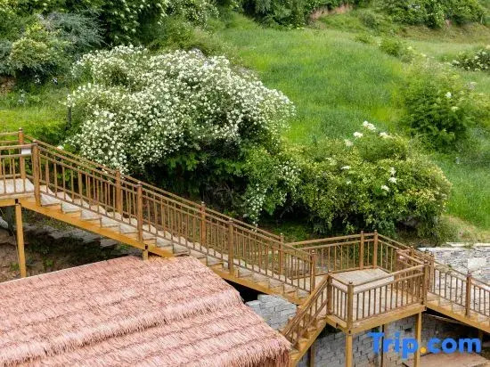 Guishan Muyun | The Oxygen-Supplying Hote·Most Popular Among Southeast Asians