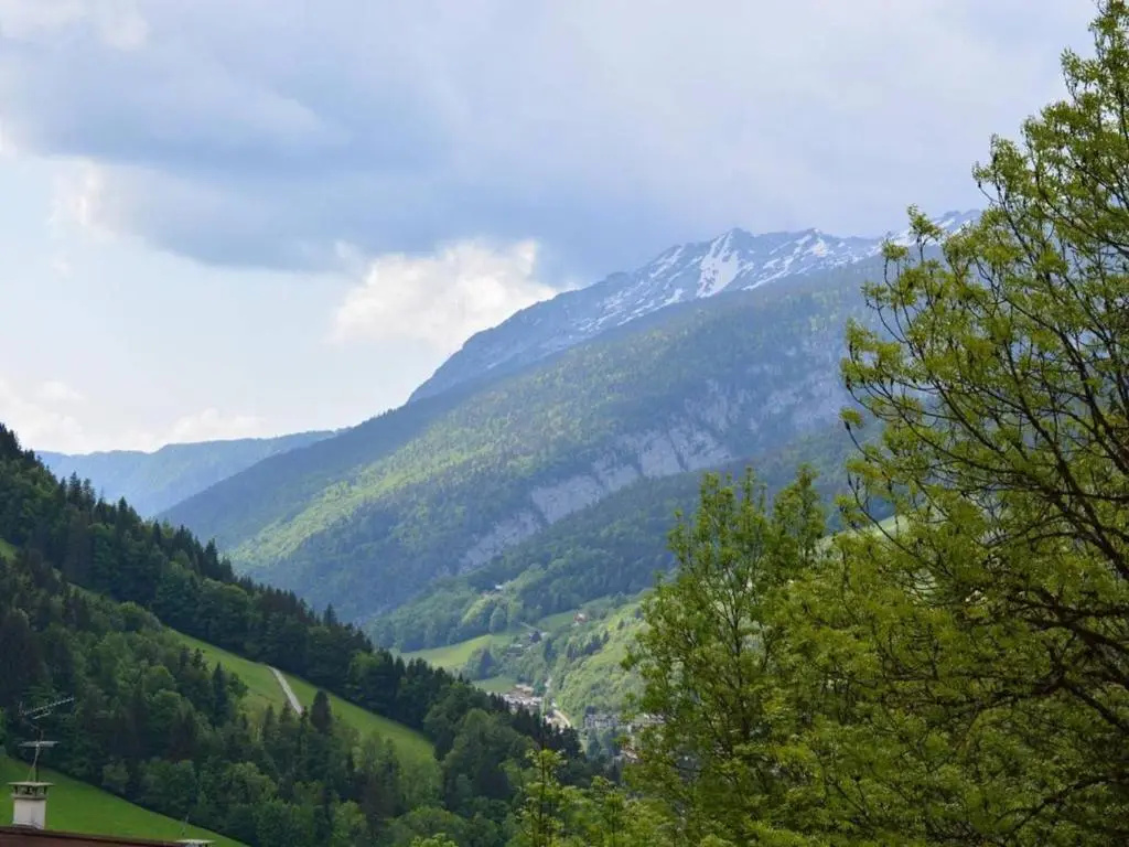 Appartement Le Grand-Bornand, 2 pièces, 5 personnes - FR-1-241-198