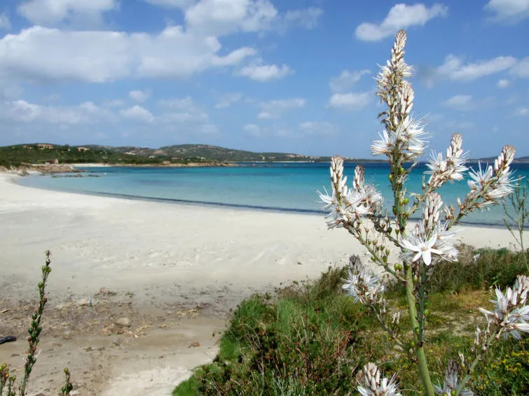 Locazione Turistica Gardenia