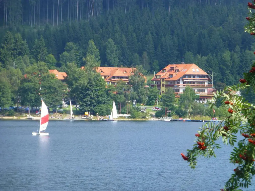 Hotel Auerhahn