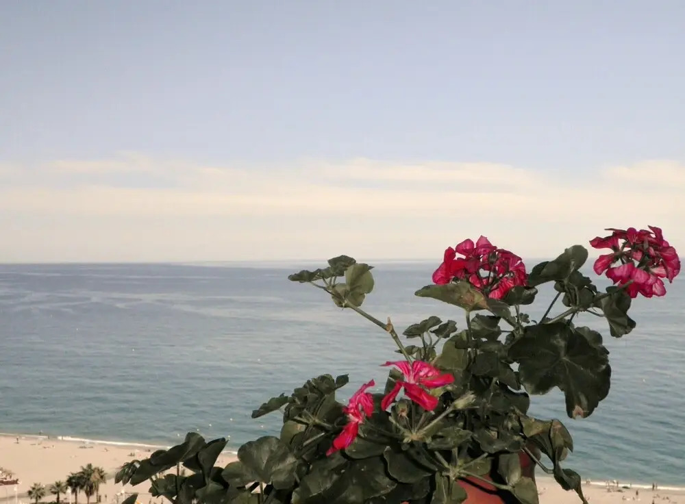 El Ranchito, Sights sea and Mountainsfree Wifi