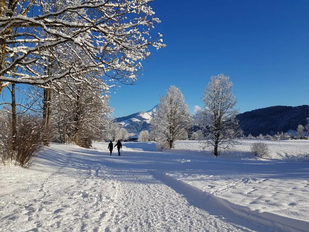 Landhaus BergMoment