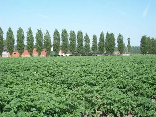 Moortelkenshoeve
