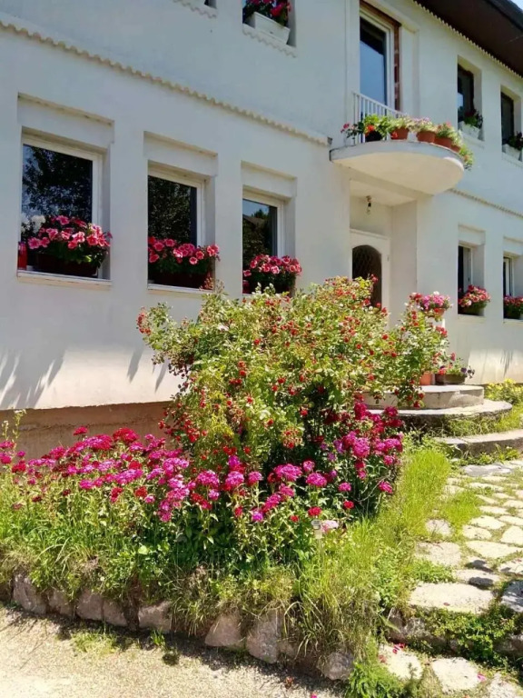 Lalić rooms