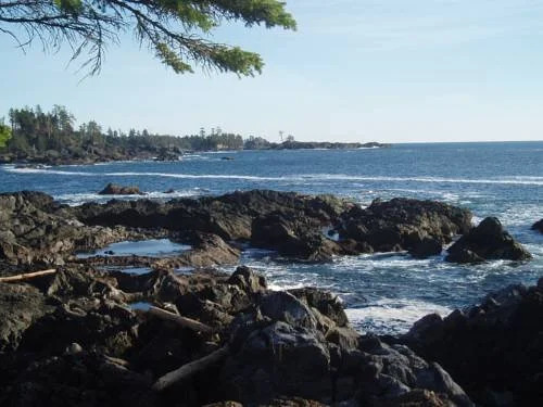 Ebb Tide Bed & Breakfast