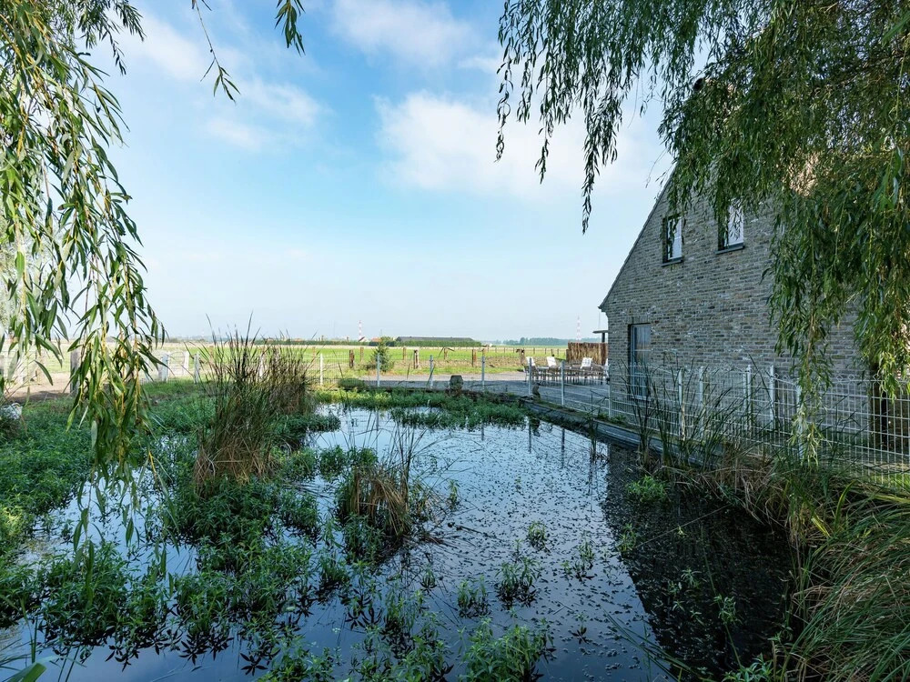 Rural Villa, 4 Kilometres From the Beach