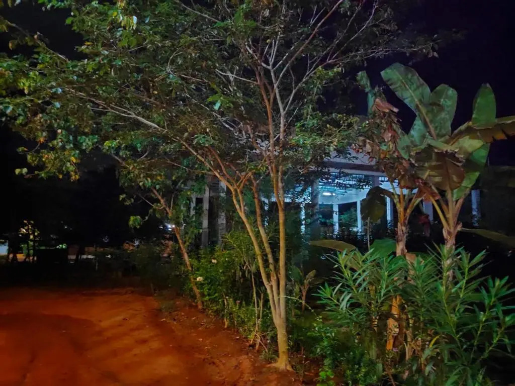 Paradise Auro Jungle Resort