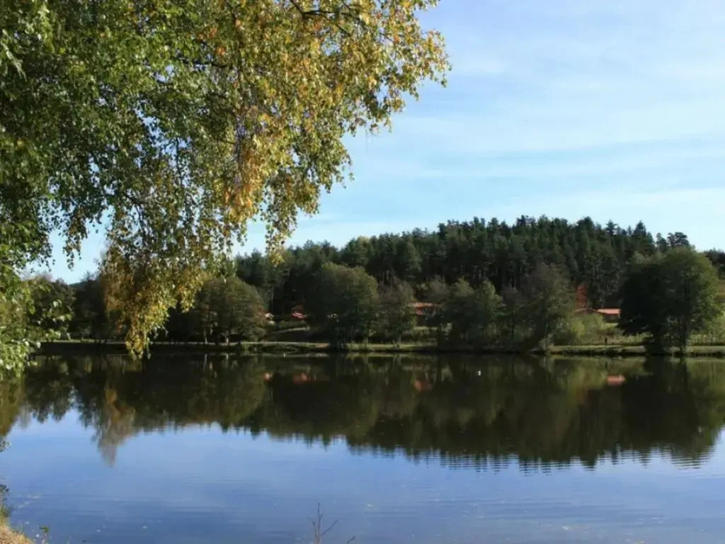 Chalet Avec Cheminee Et Animaux Acceptes a Usson-En-Forez - Fr-1-496-162
