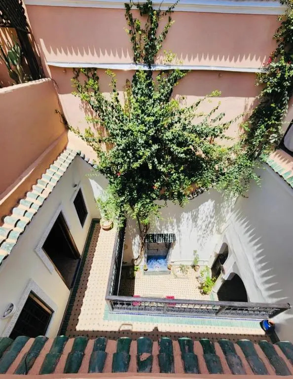 riad msholidays - privatisé jusqu'à 6 personnes - bassin