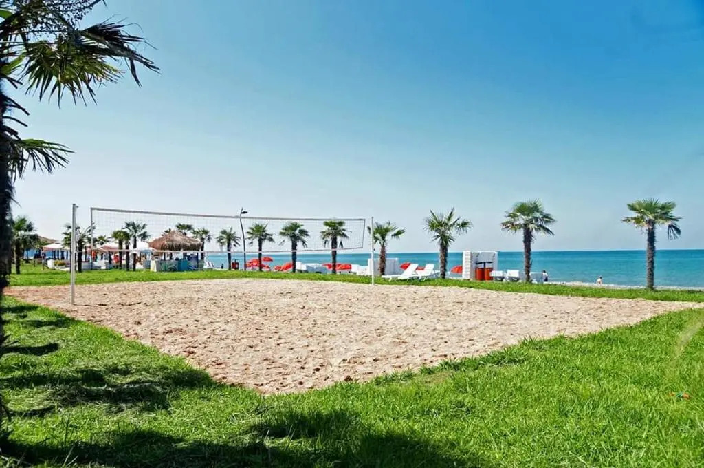 Dreamland Oasis of happiness